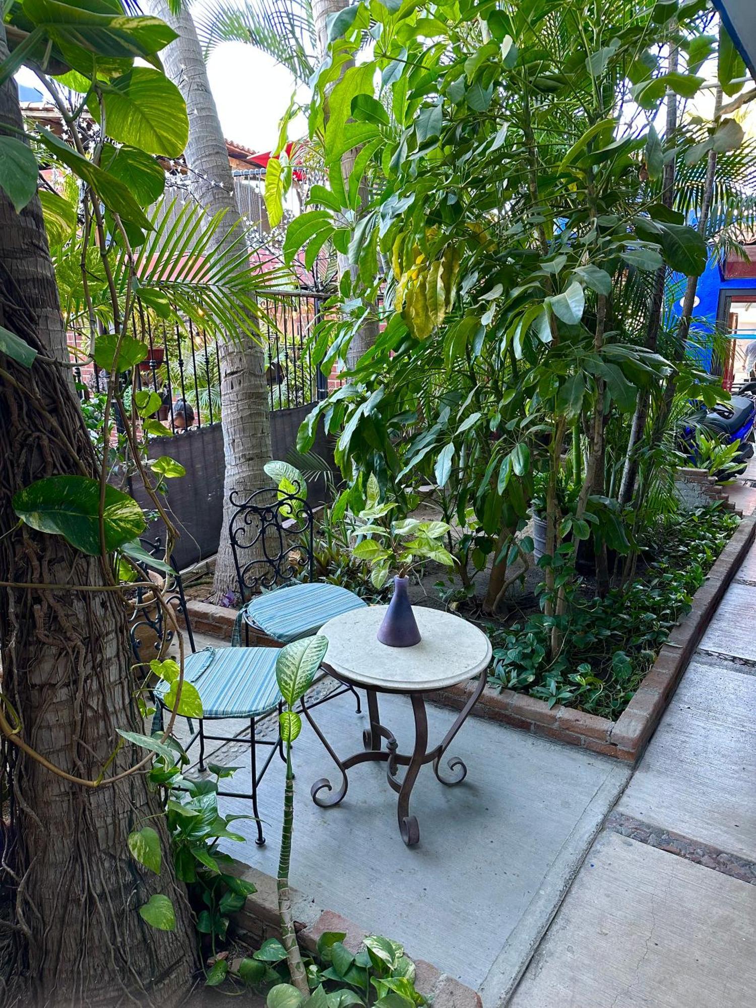 Siesta Suites Boutique Hotel 카보산루카스 외부 사진