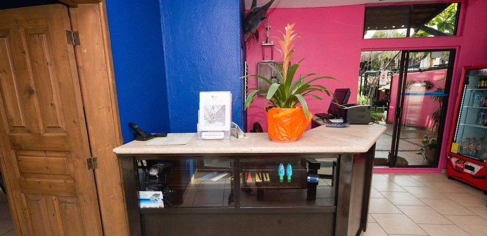 Siesta Suites Boutique Hotel 카보산루카스 외부 사진